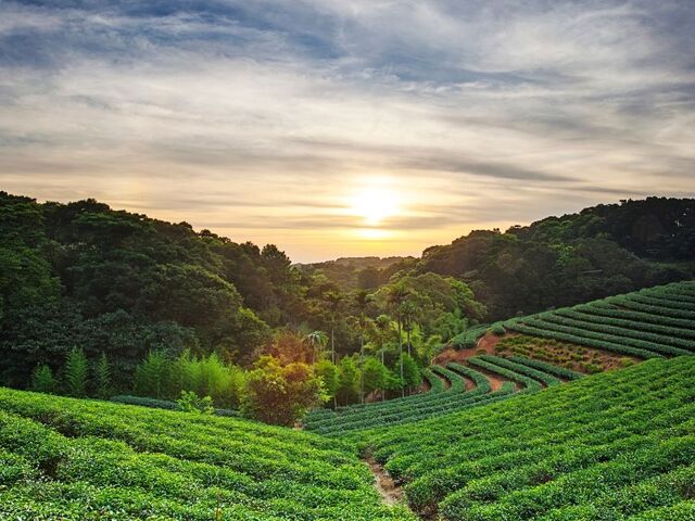 Uçaklı Batum'lu Doğu Karadeniz Turu