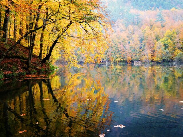 Batı Karadeniz Turu 