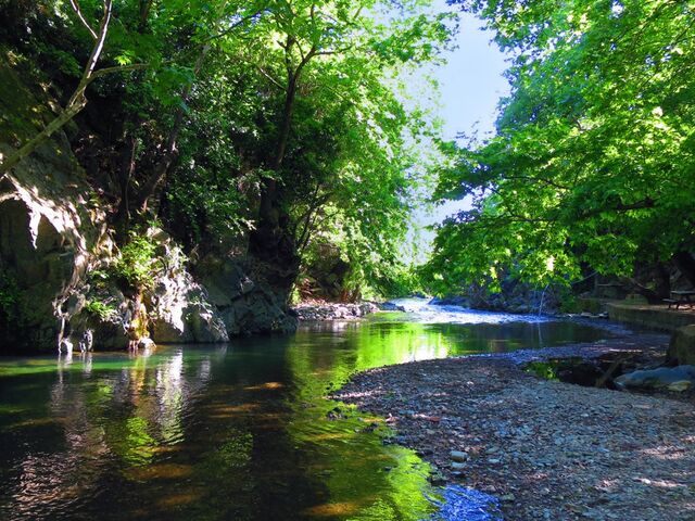 Çanakkale ve Kazdağları Turu