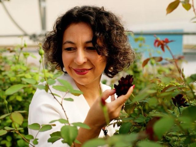 Bihter Türkan ile Karagöl Festivali