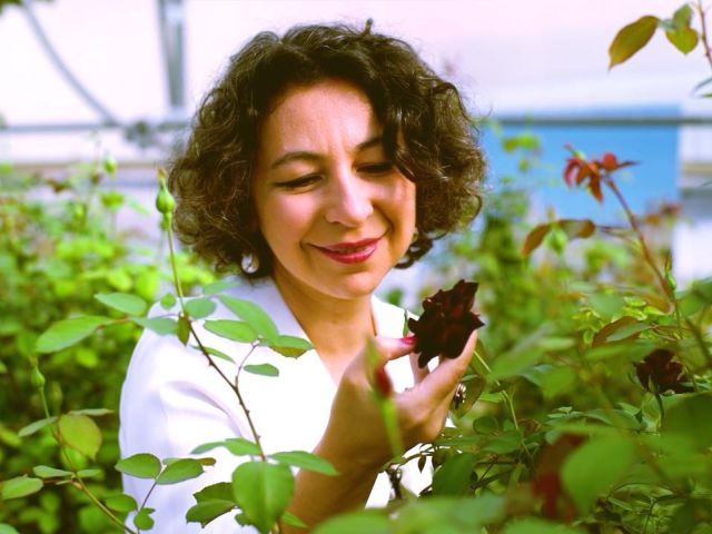 Bihter Türkan ile Karagöl Festivali